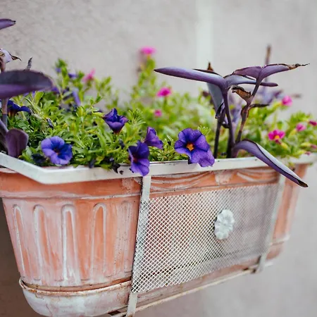 Venus Prázdninový dům *