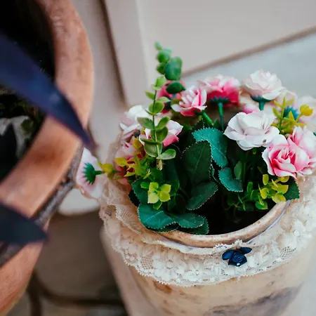 Prázdninový dům Venus Venosa