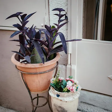 Venus Holiday home *