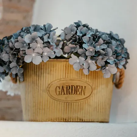 Venus Prázdninový dům Venosa